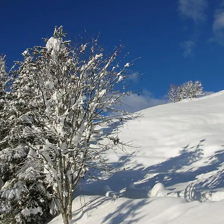 Klappacher