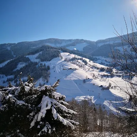 Klappacher Apartment Maria Alm am Steinernen Meer