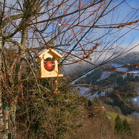 Klappacher *