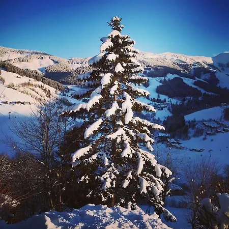 Klappacher *